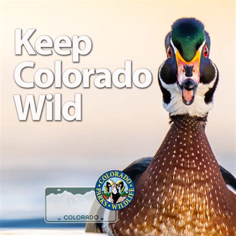 Keep Colorado Wild Pass